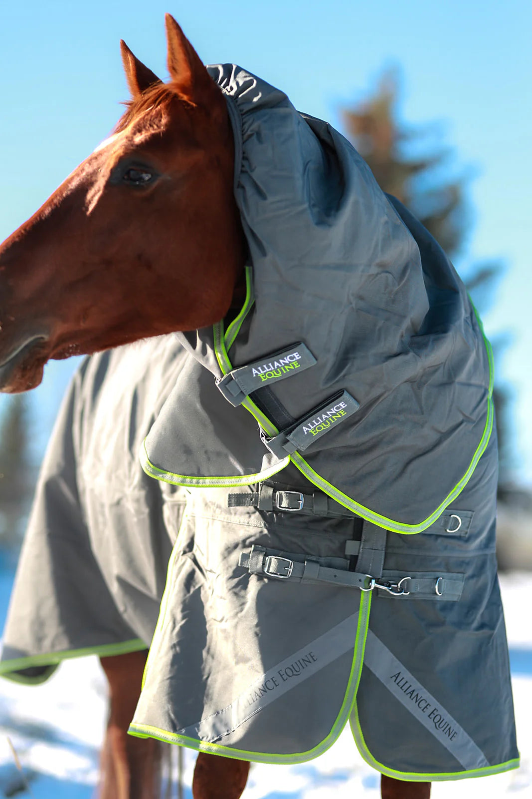 Alliance Lux Winter Blanket