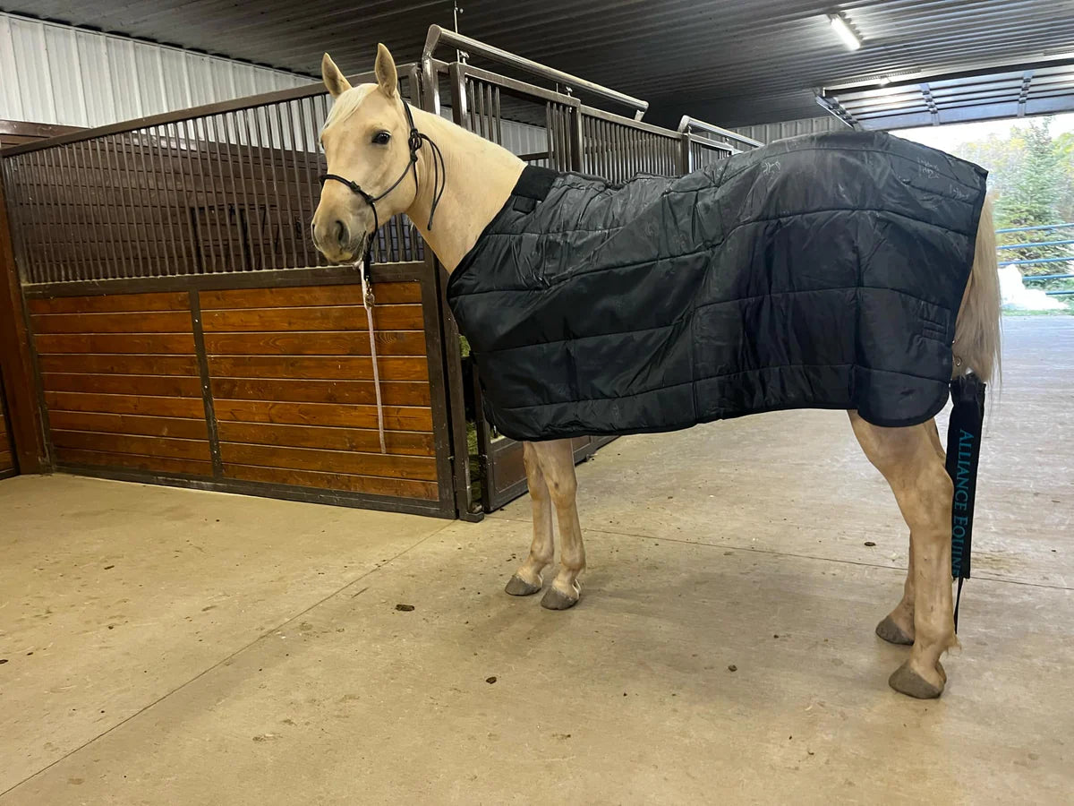 Horse Rug Liner - 100g Fill NEW!!