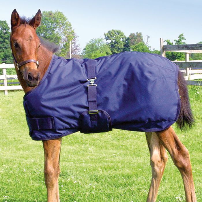 Mini and Foal Winter Blanket by Canadian Horsewear -38-45