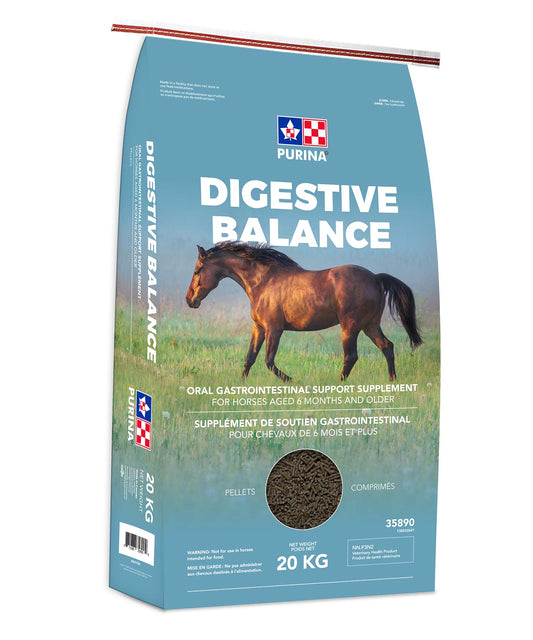 Digestive Balance Purina