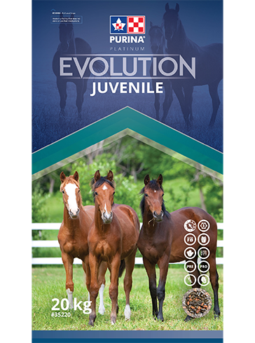 Evolution Juvenile -Purina