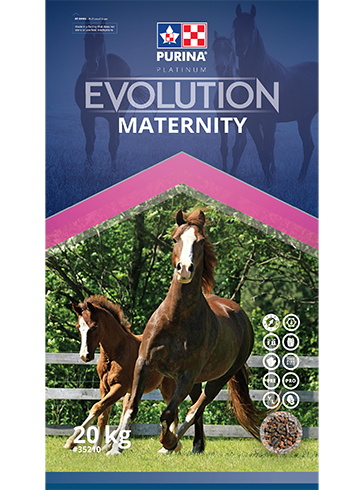 Evolution Maternity-Purina