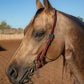 Professional's Choice One Ear Headstall - Elivis