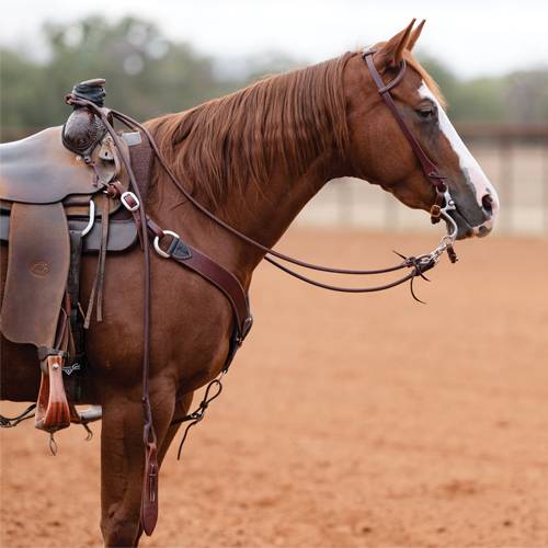 Ranch Heavy Oil Romal Reins -PC