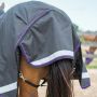 Canadian Horsewear VIOLET Diablo Turnout 300 gm