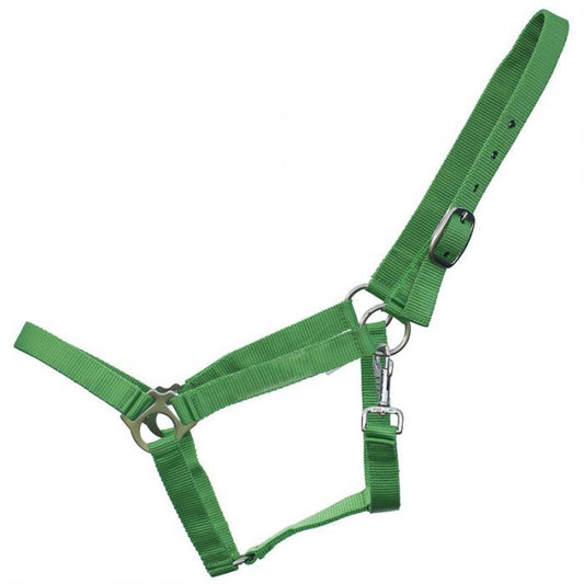 Full Size Nylon Halter With Snap - Lime