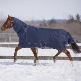 Canadian Horsewear Maxim Turnout Blanket 81" navy 300gm